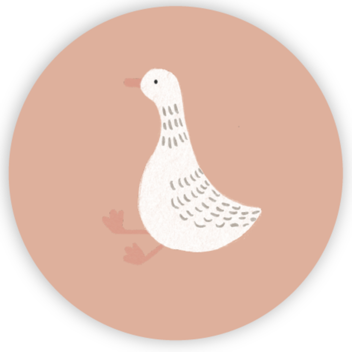 Sluitsticker gansje zalm