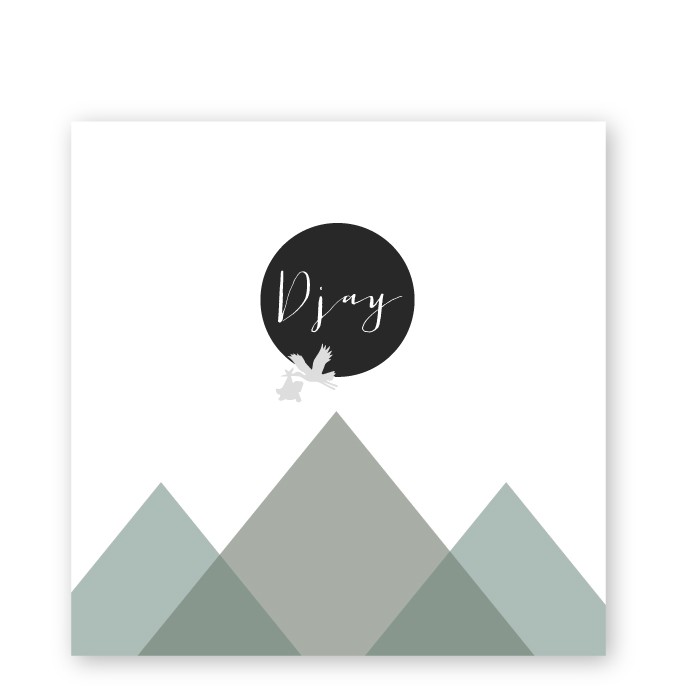 geboortekaartje jongen Djay berg