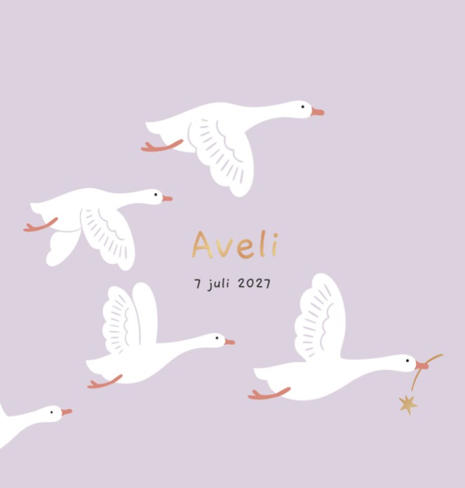 Geboortekaartje Aveli Vliegende Ganzen 13x13 Dubbel