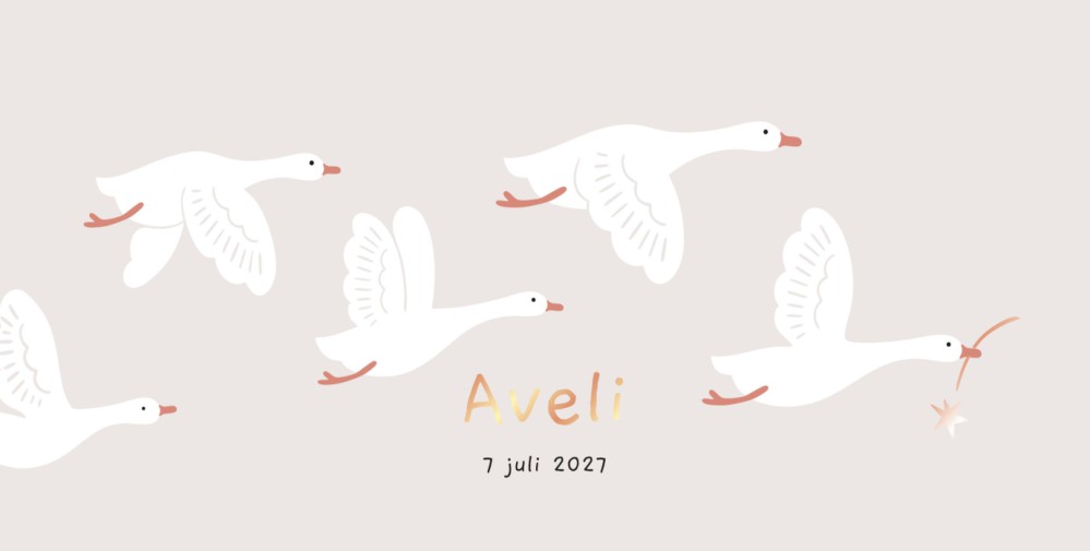 Geboortekaartje Aveli Vliegende Ganzen Dubbel Goud Folie
