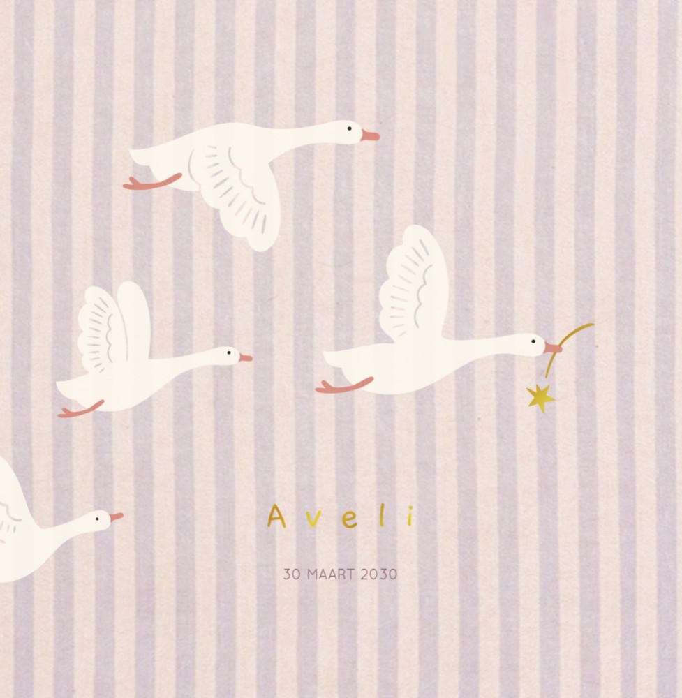 Geboortekaartje Aveli vliegende ganzen strepen lila
