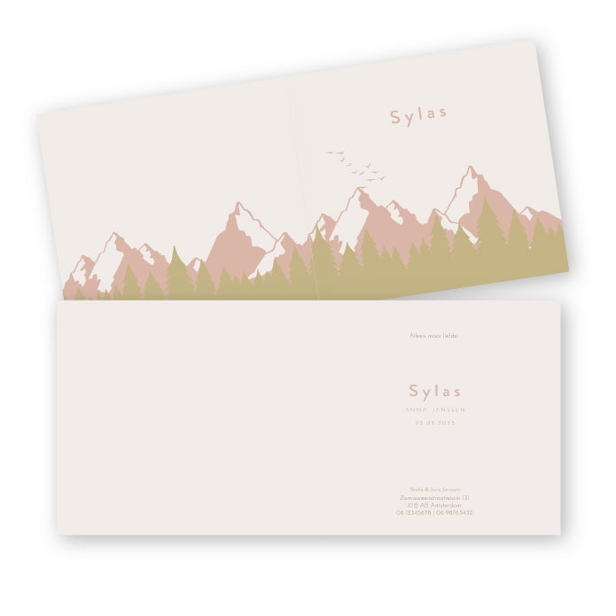 Dubbel geboortekaartje Silas