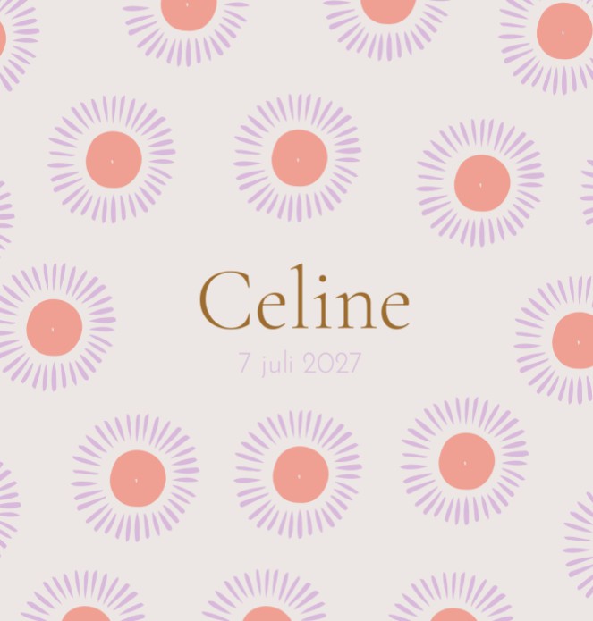Geboortekaartje Celine zonnetjes dubbel - Froukje den Nijs