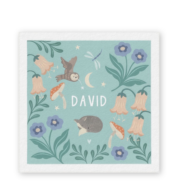 Geboortekaartje David wolfje - Froukje den Nijs