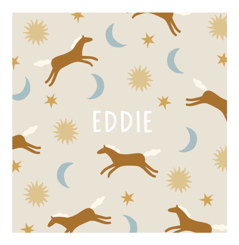 Geboortekaartje Eddie paardjes en zonnetjes - Froukje
