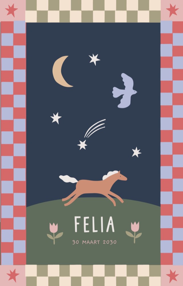 Geboortekaartje Felia paardje blokken kader dubbel - Froukje