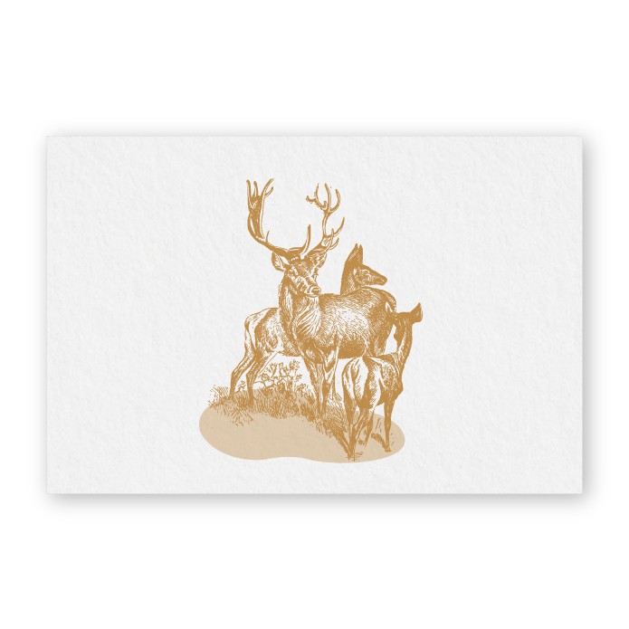 Geboortekaartje jongen hert