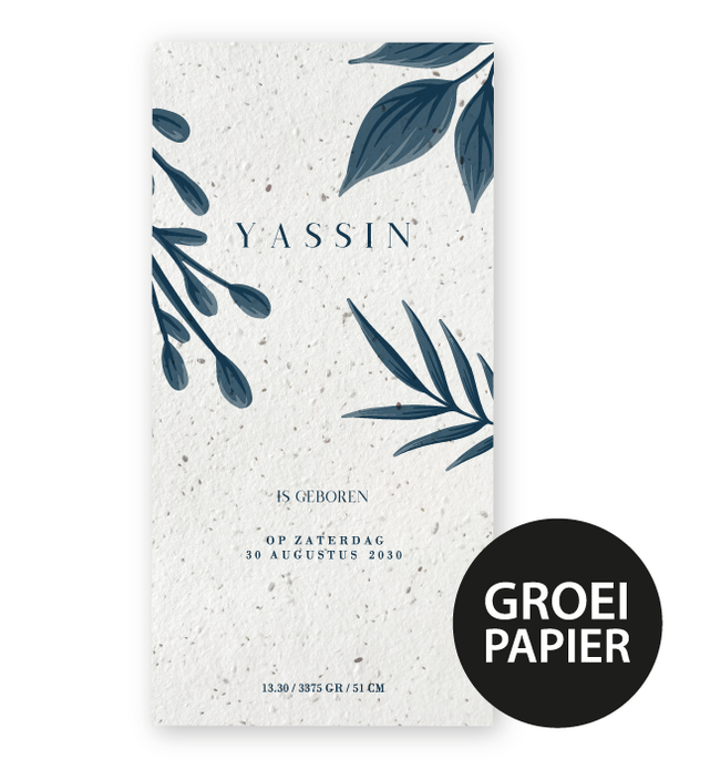 Geboortekaartje groeipapier Yassin