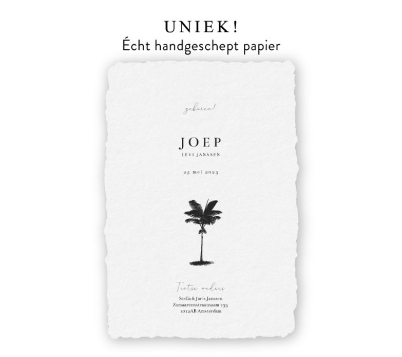 handgeschept papier geboortekaartje jongen palmboom tekening