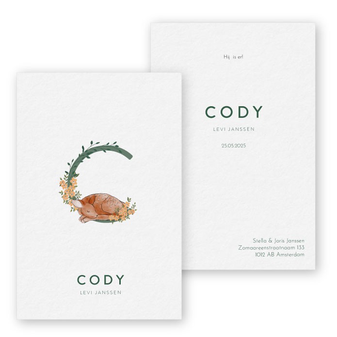 retro hertje slapend op geboortekaartje voor meisje