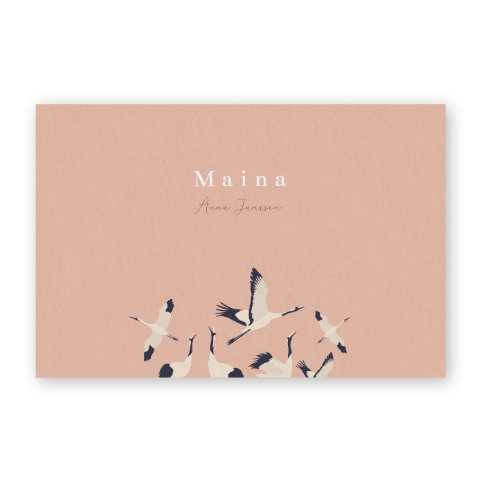 Babykaartje kraanvogels Maina