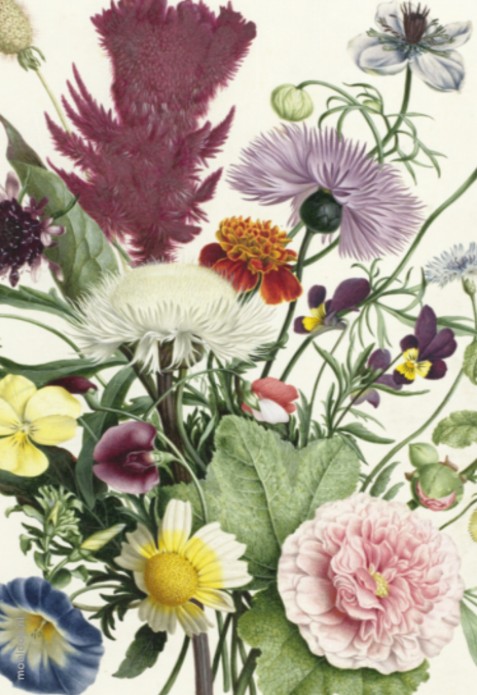 Geboortekaartje label splitpen Caja