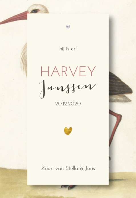 Geboortelabel vintage ooievaar Harvey