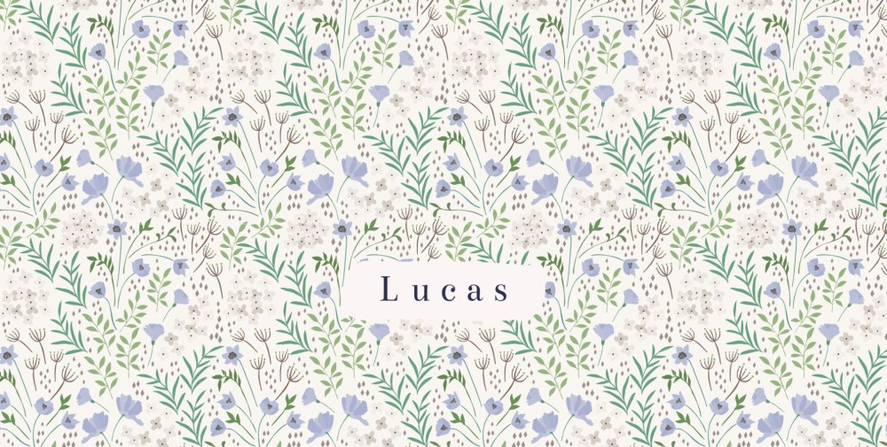 Geboortekaartje Lucas Bloemen Patroon Dubbel