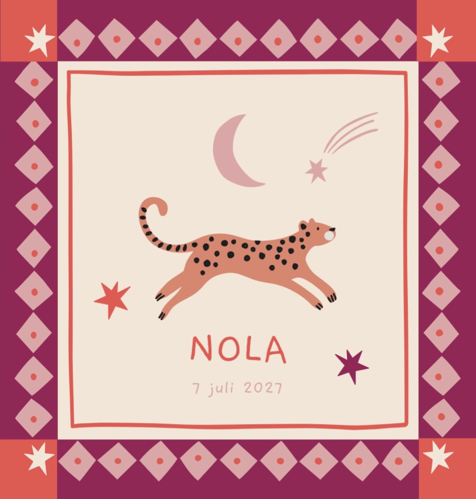 Geboortekaartje Nola - Dubbel - Froukje den Nijs