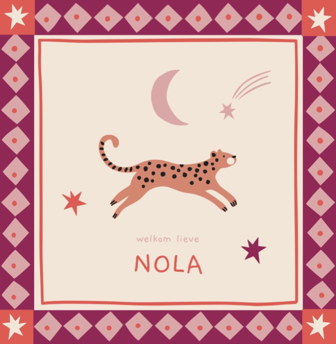 Geboortekaartje Nola - Kaders en Luipaardje - Froukje den Nijs