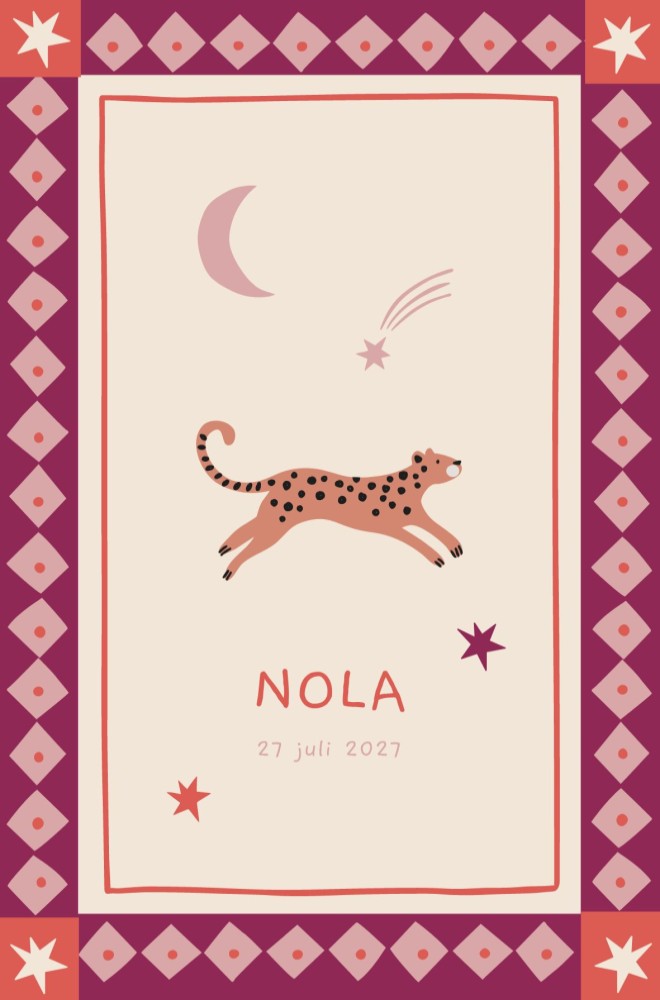 Geboortekaartje Nola Kaders staand