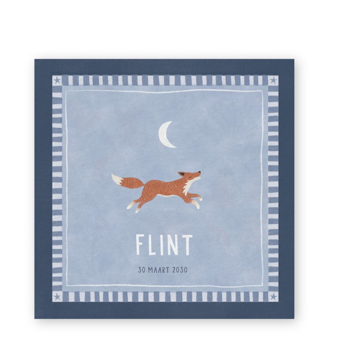 froukje den nijs geboortekaartje illustratie vosje