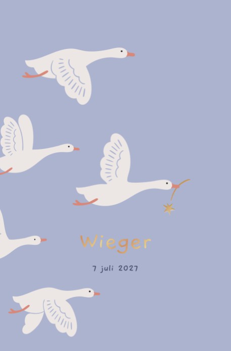Geboortekaartje Wieger Vliegende Ganzen