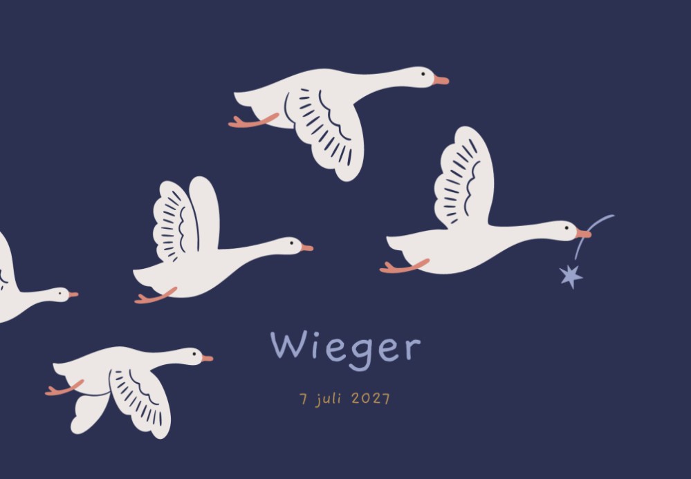Geboortekaartje Wieger Vliegende Ganzen 15x10