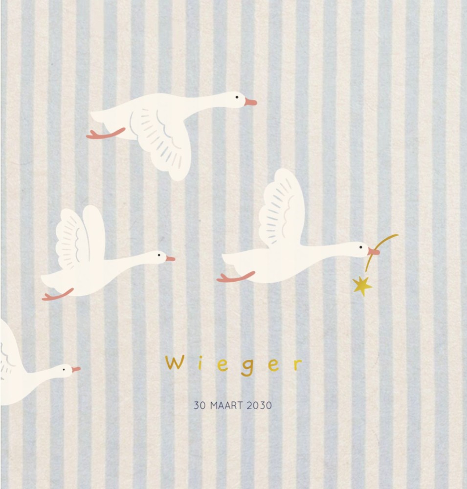 Geboortekaartje Wieger vliegende ganzen strepen dubbel