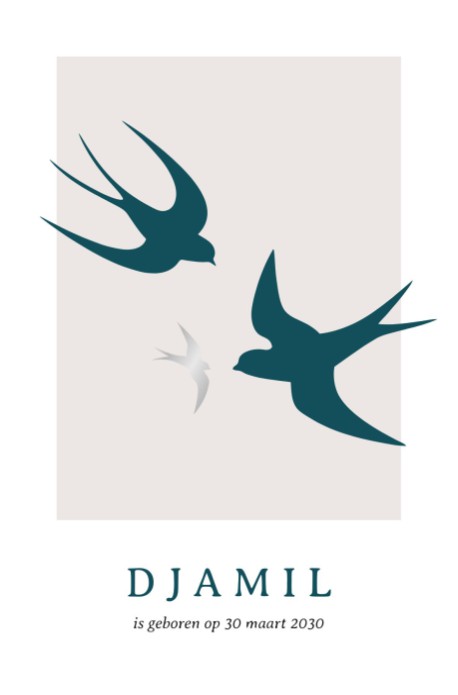 Geboortekaartje zwaluwen djamil-folie