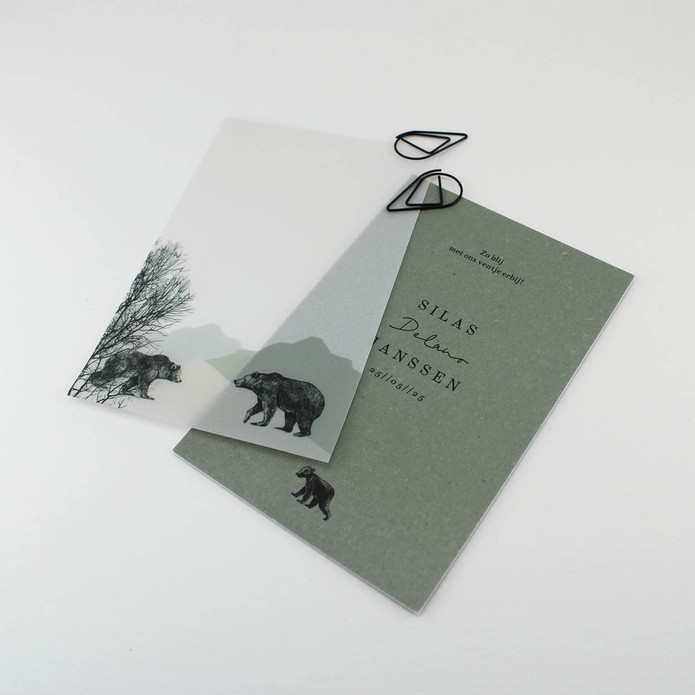 Babykaartje kalk beren