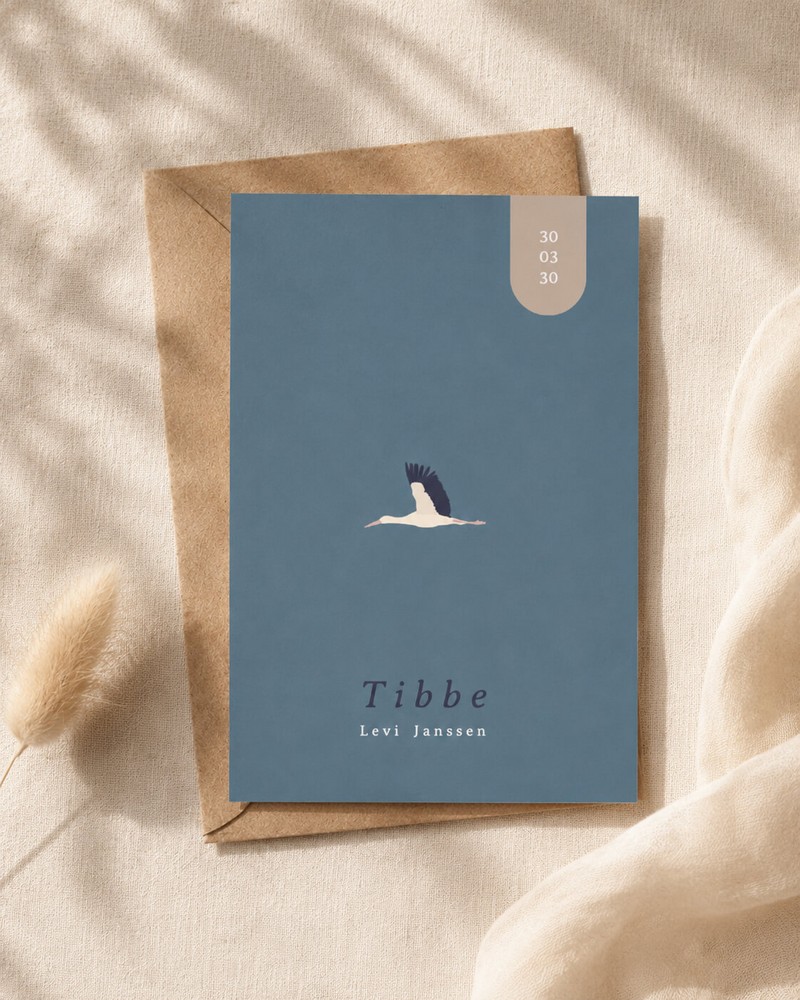Geboortekaartje vliegende ooievaar Tibbe