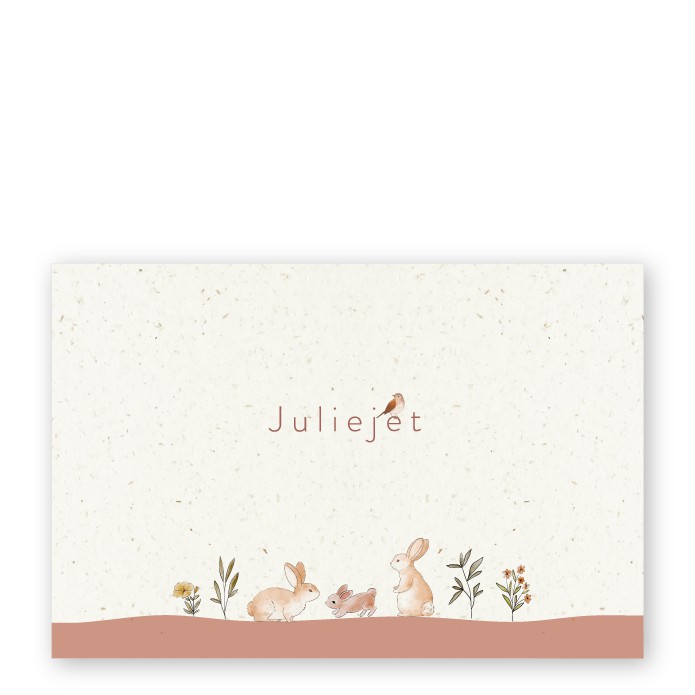 Geboortekaartje duurzaam lieve konijntjes Juliejet