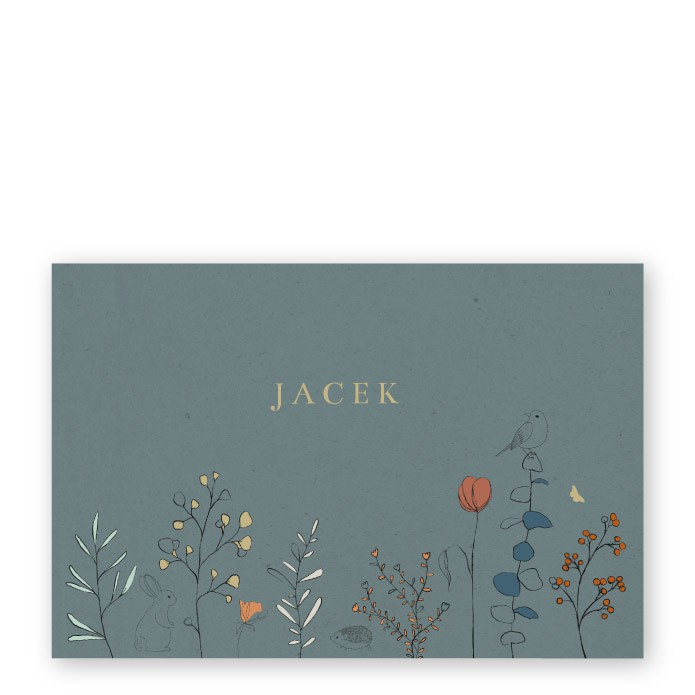 Geboortekaartje retro blauw bloemen