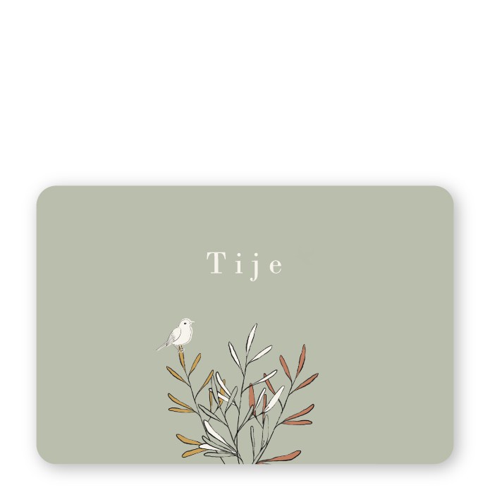 Geboortekaartje strak takjes
