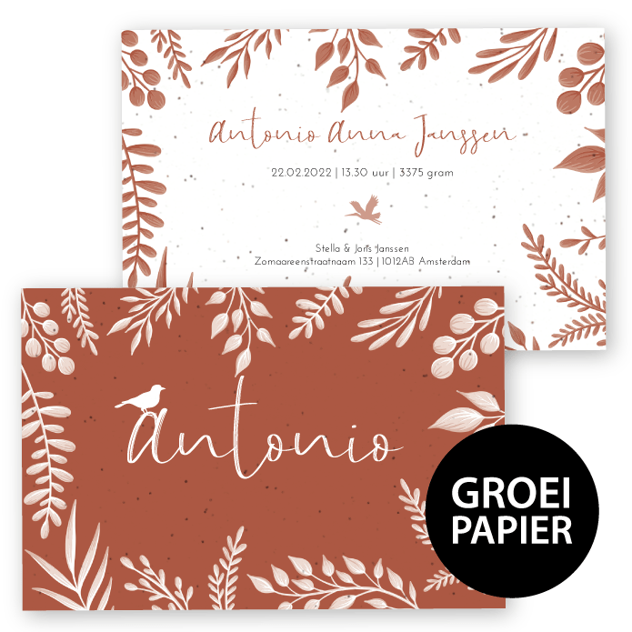 Groeipapier botanisch Antonio