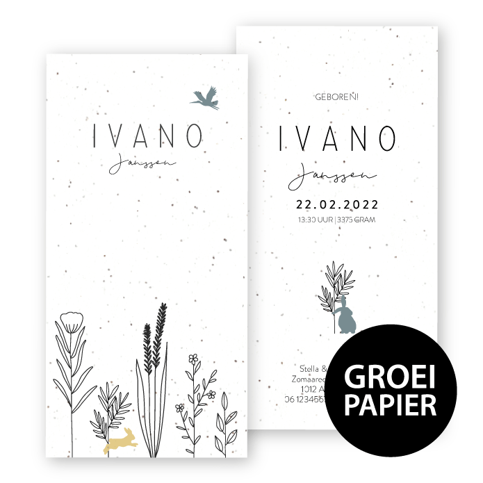 Geboortekaartje groeipapier Ivano