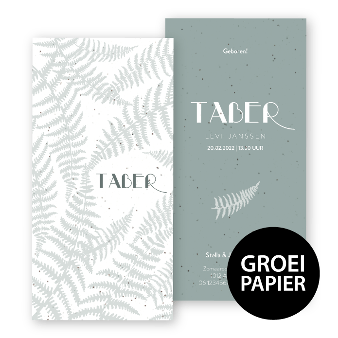 Geboortekaartje groeipapier varens Taber