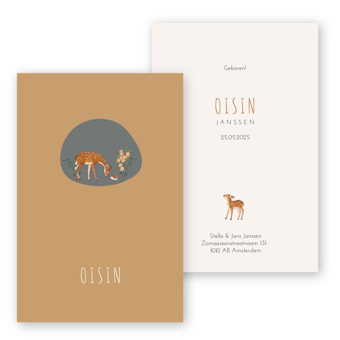 Babykaartje oranje dieren