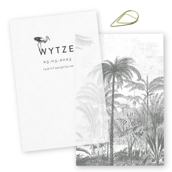 Babykaartje kalk labels jungle