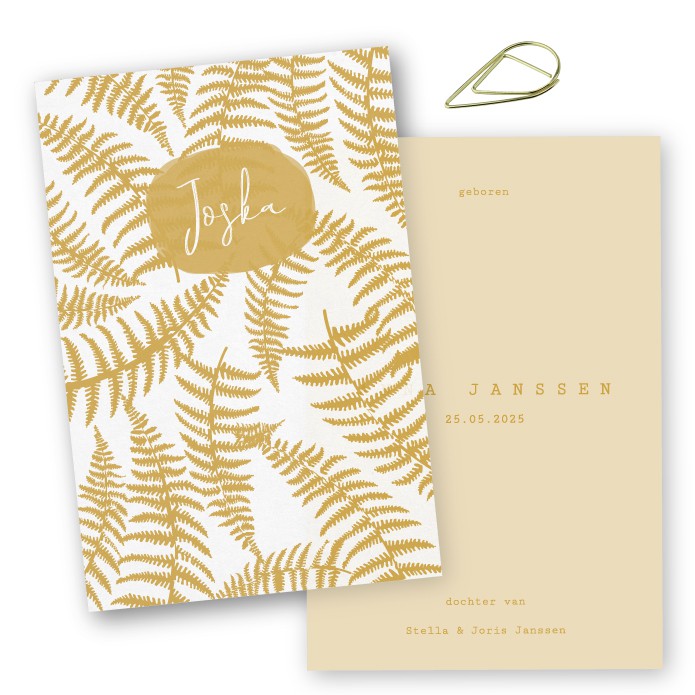 Babykaartje kalk botanisch