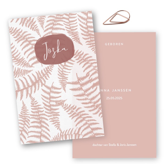 Geboortelabels kalk varens