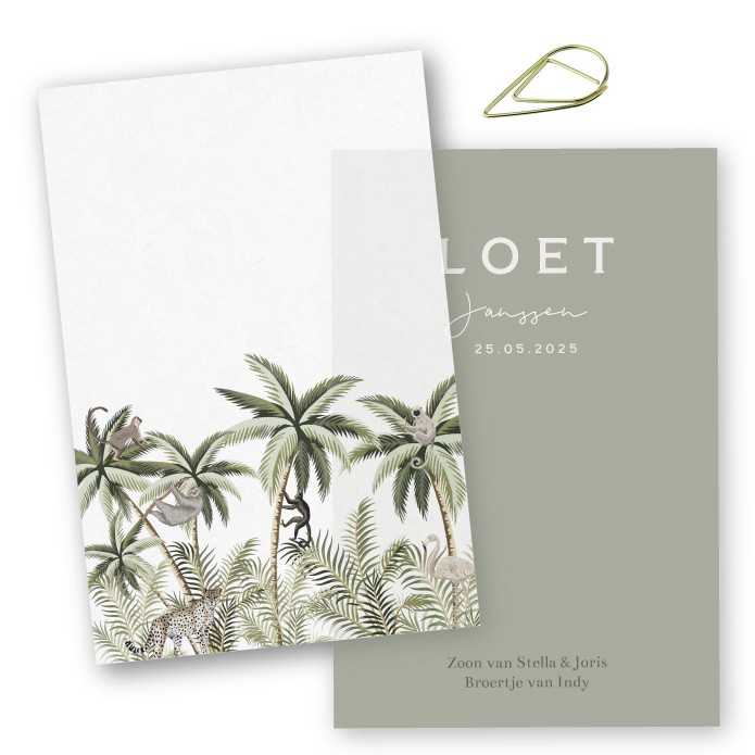 Geboortekaartje kalkpapier Loet