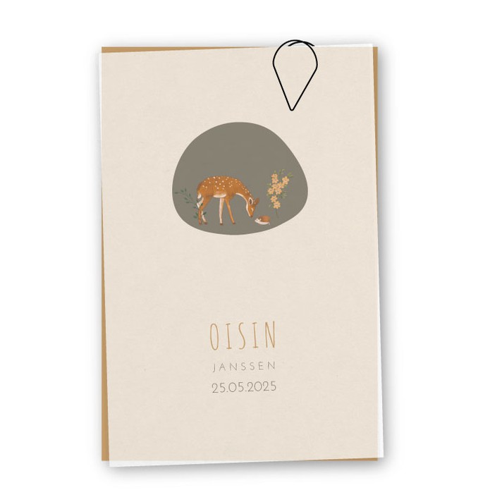 Geboortelabels kalk Oisin