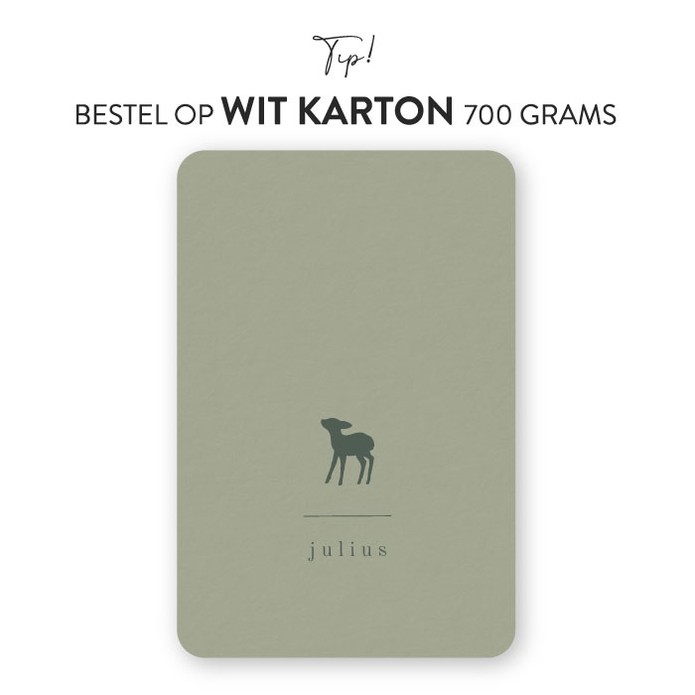 Geboortekaartje hertje karton