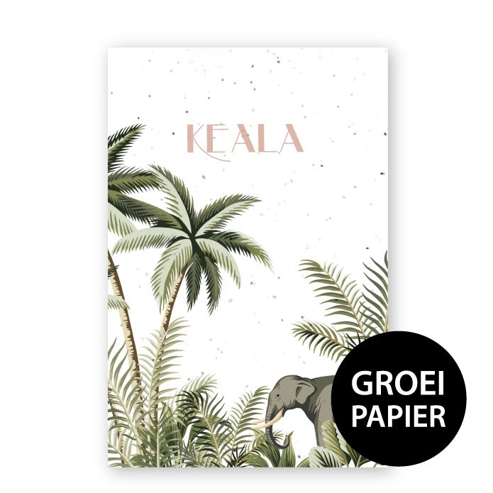 Geboortekaartje groeipapier Keala