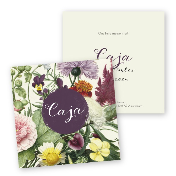 Geboortekaartje museum schilderij Caja