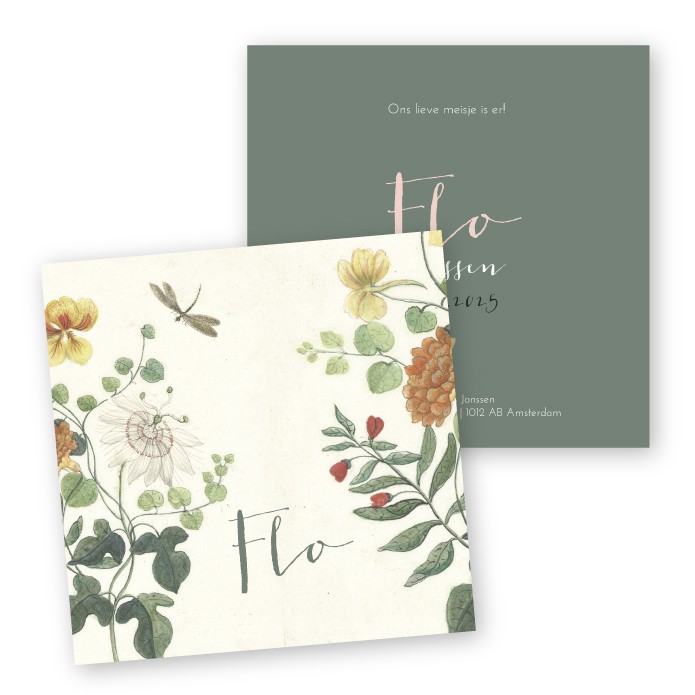 Geboortekaartje museum schilderij Flo