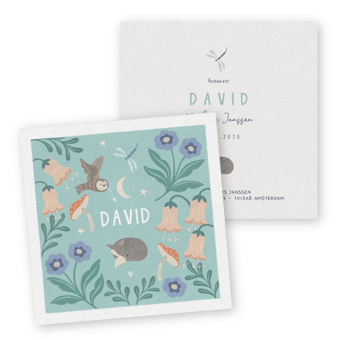 Geboortekaartje David wolfje - Froukje den Nijs