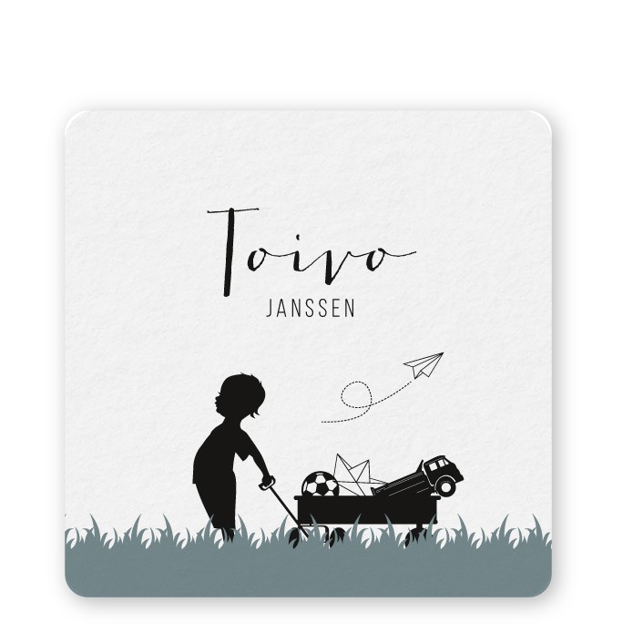 Geboortekaartje bolderkar Toivo