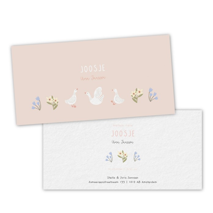 Geboortekaartje Joosje Gansjes  - Froukje den Nijs