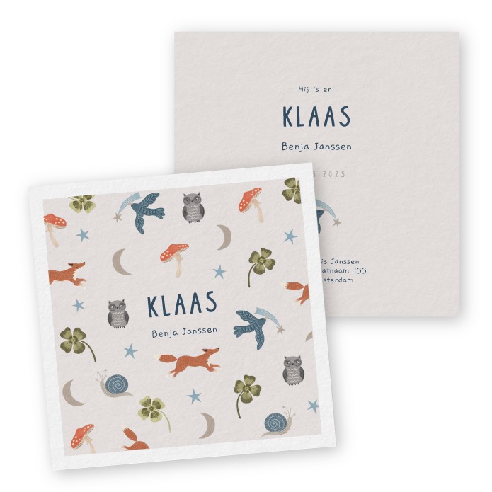 Geboortekaartje patroon vosjes Klaas