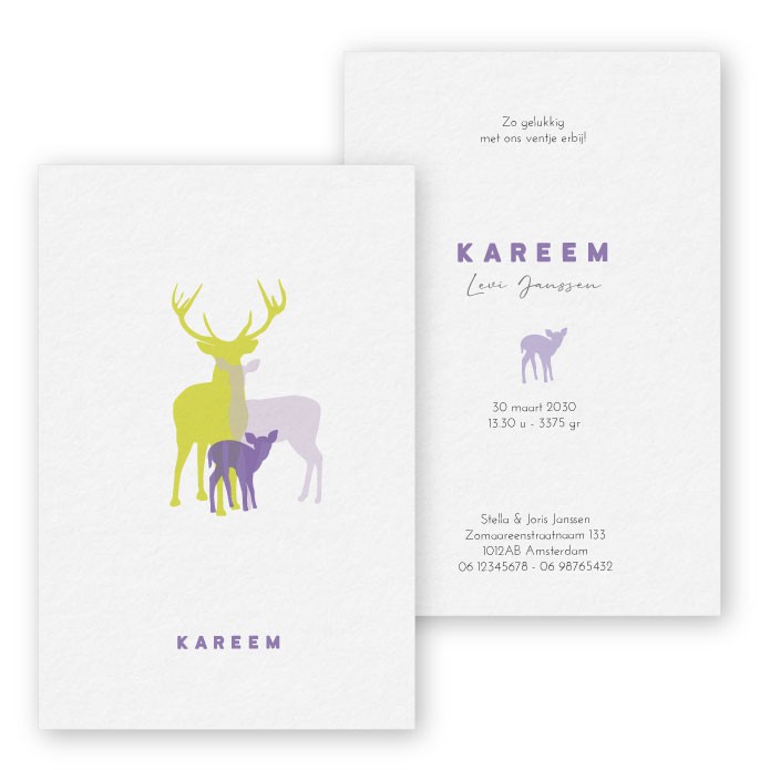 geboortekaartje paars lila pastel hertje meisje