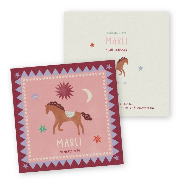 Geboortekaartje Marli boho paardjes - Froukje den Nijs